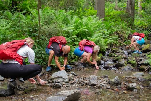 Personen waschen sich die H&auml;nde in einem Bach im Wald