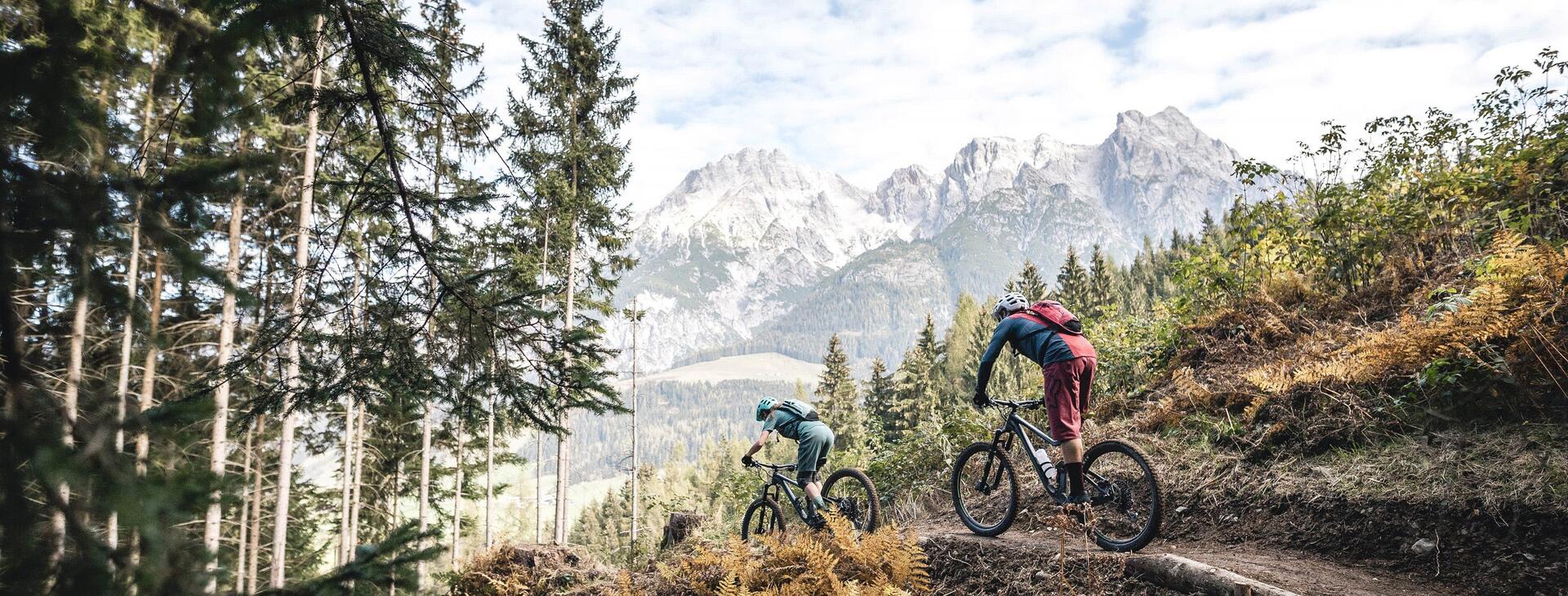 Schwarzleo trail Leogang