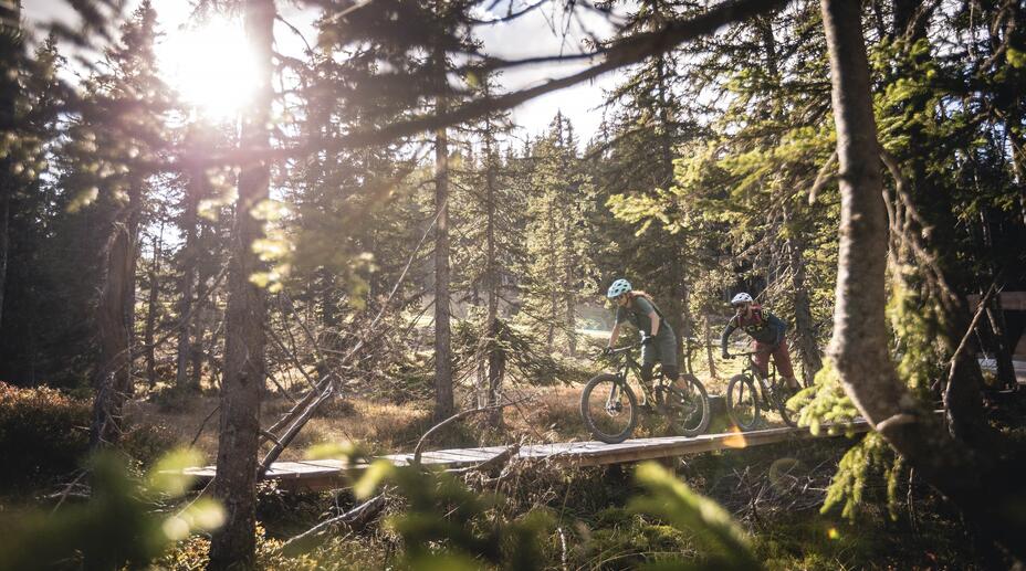 Bike Park Leogang Matzalm