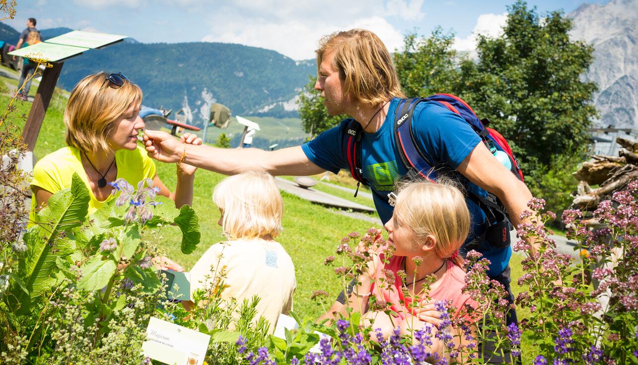 family summer holiday Salzburger Land