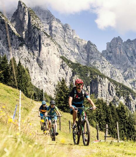 mountain bike holiday Leogang