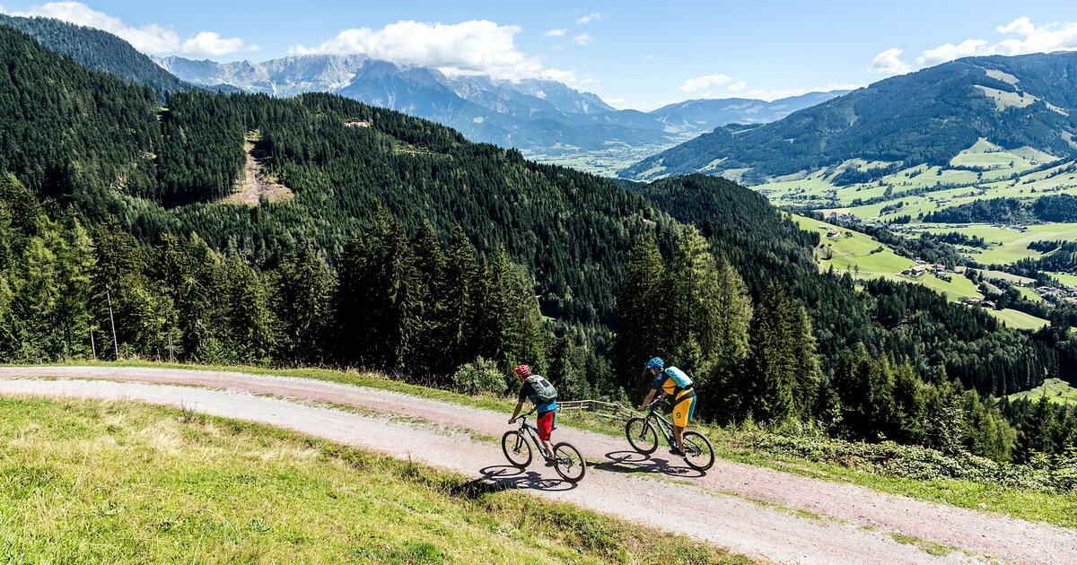 pegasus fahrrad gabel Strong EVO 10 Lite blau | 800WH | E-Bike Damen Trekking Mask Screen Airscreen O-Frame Typ_Fahrradständer Color:ever green