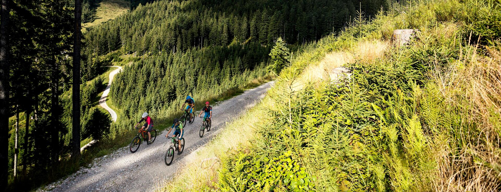 E-Bike Urlaub in den Bergen