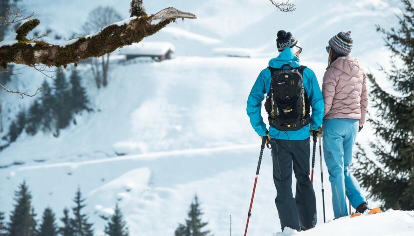 snowshoe hiking in the Salzburger Land