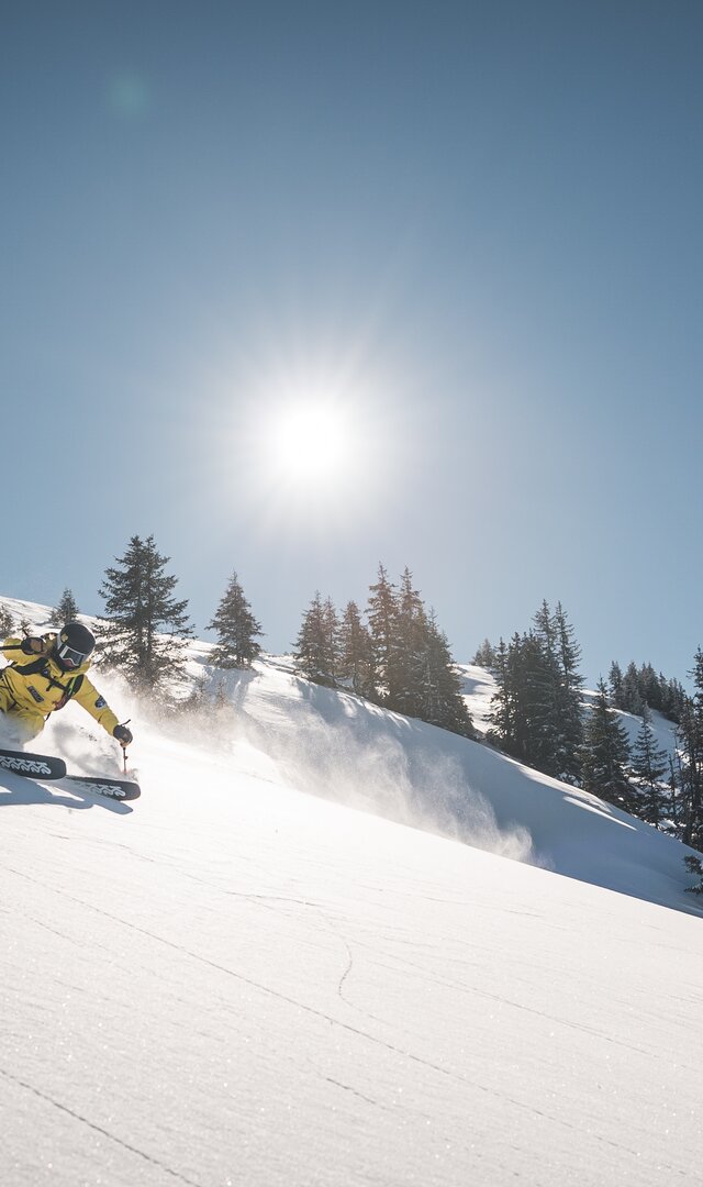 Freeride skier in deep snow
