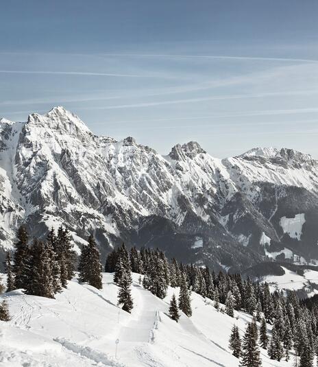 winter Leogang