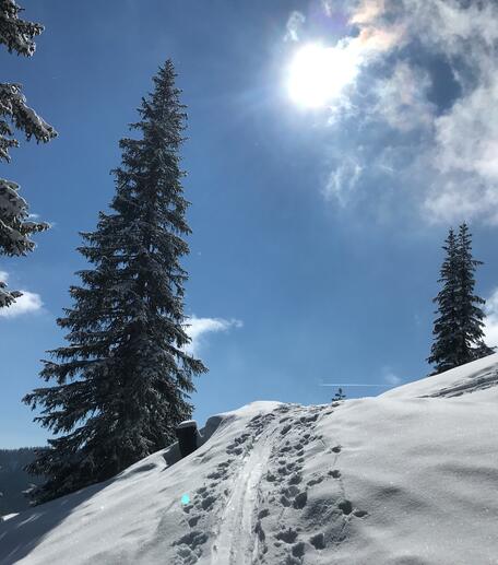 ski touring route Leogang