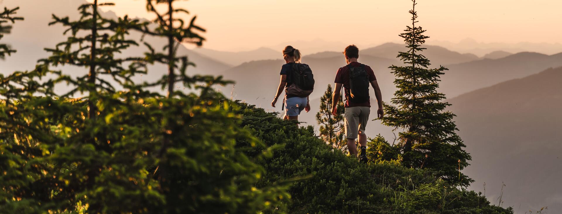 Hikers in the Alps