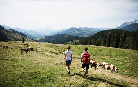 Wandern in Leogang