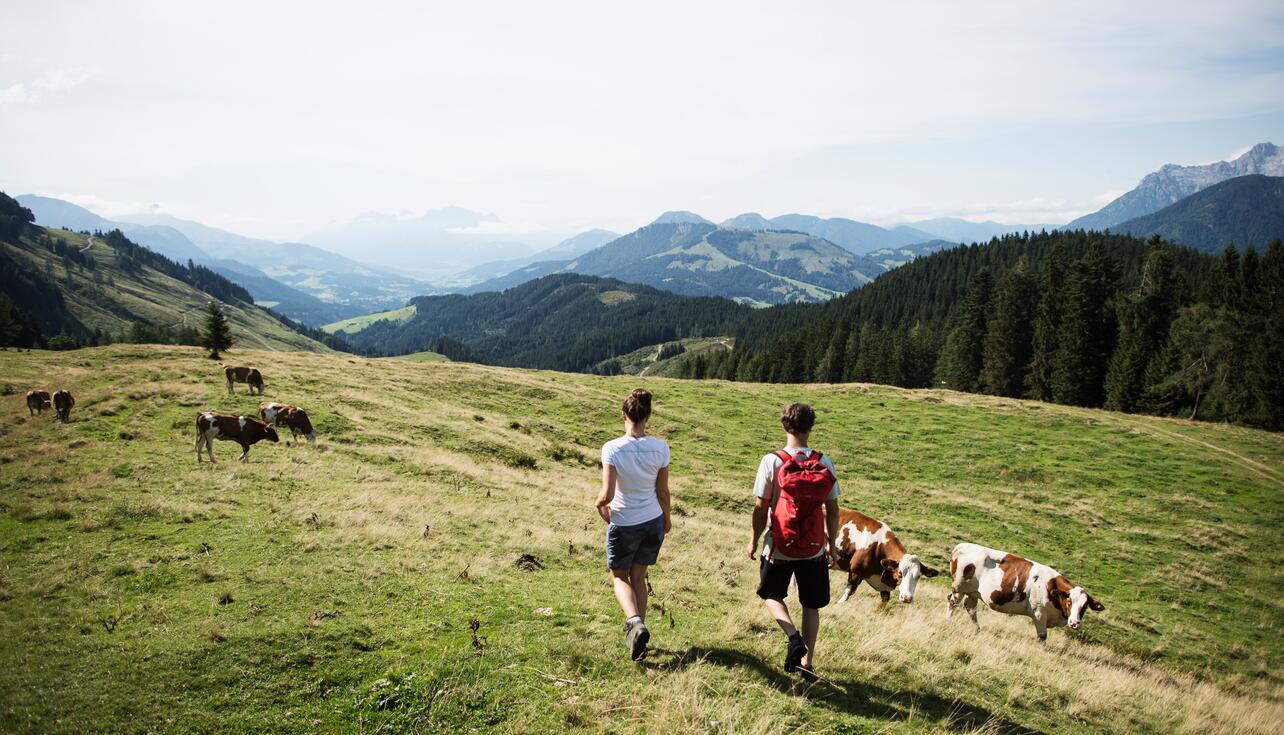 Wandern in Leogang