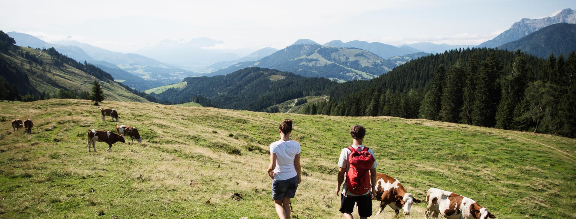 hiking in Leogang