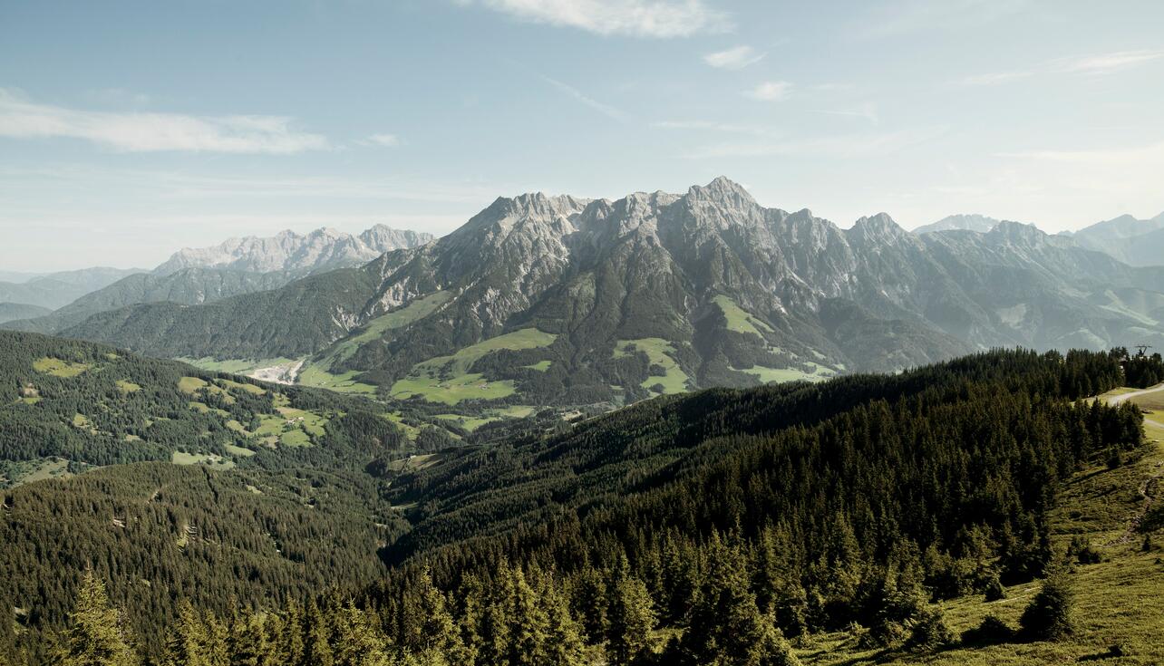 hiking on a summer holiday in Leogang