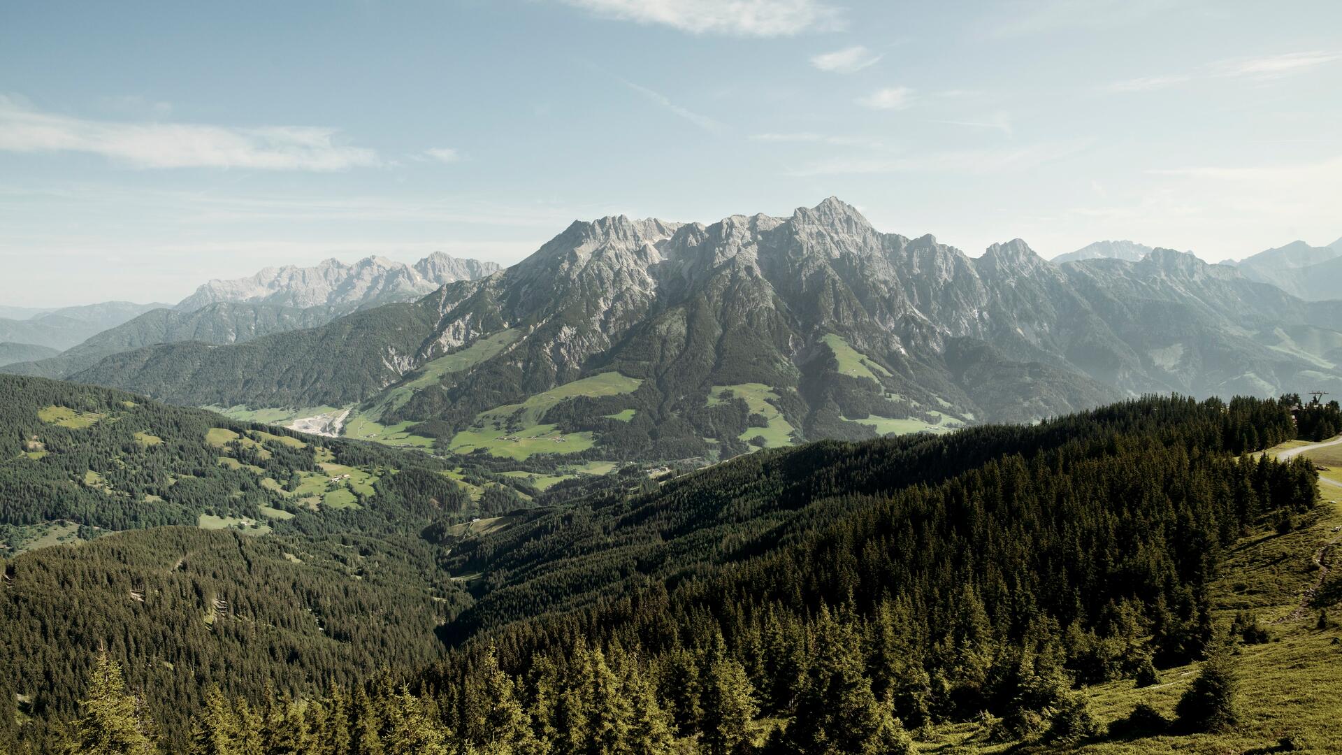 hiking on a summer holiday in Leogang